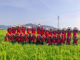 HOẠT ĐỘNG TRẢI NGHIỆM THĂM CÁNH ĐỒNG LÚA CỦA CÁC BẠN NHỎ TRƯỜNG MẦM NON KỲ THỊNH